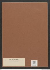 Diatomeae indet. Zeichnungen Sammlung Grunow Mappe 02896 (Herbarium_W_Grunow_drawings_Folder_02896)